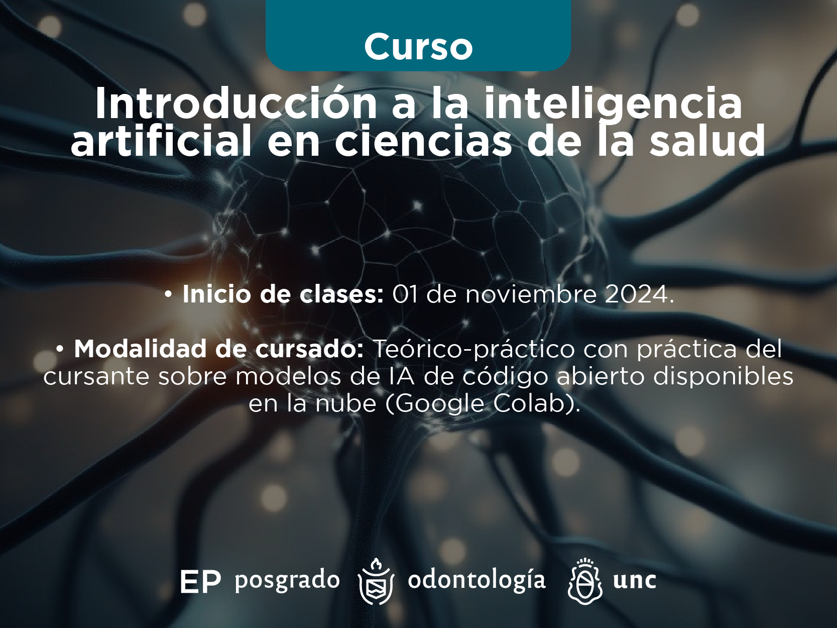 Introducción a la inteligencia artificial en ciencias de la salud. Año 2024.